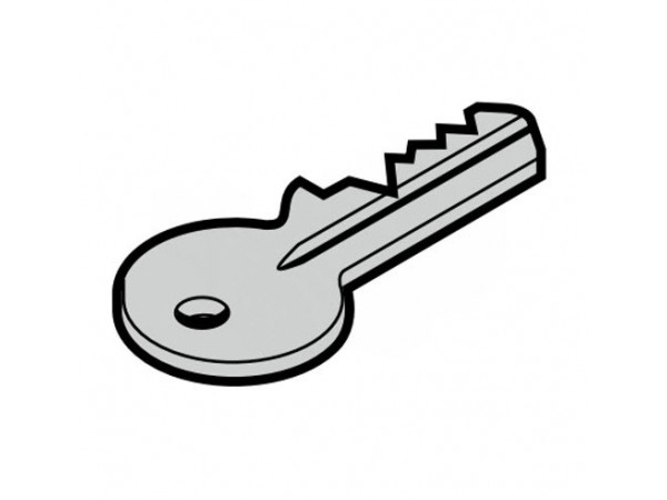 Ключ для крышки привода Hormann (637653)